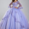 Long Sleeve Lace Ball Gown Quinceanera Dress