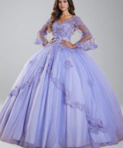 Long Sleeve Lace Ball Gown Quinceanera Dress